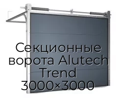 Секционные ворота Alutech Trend 3000×3000