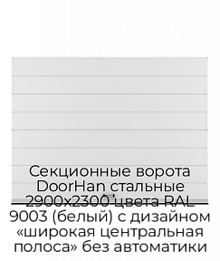 Секционные ворота DoorHan стальные 2900х2300 цвета RAL 9003 (белый) с дизайном «широкая центральная полоса» без автоматики