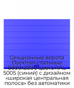 Секционные ворота DoorHan стальные 5000х2800 цвета RAL 5005 (синий) с дизайном «широкая центральная полоса» без автоматики