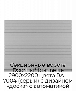 Секционные ворота DoorHan стальные 2900х2200 цвета RAL 7004 (серый) с дизайном «доска» с автоматикой preview 1