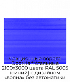 Секционные ворота DoorHan стальные 2100х3000 цвета RAL 5005 (синий) с дизайном «волна» без автоматики