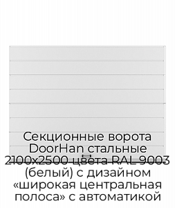 Секционные ворота DoorHan стальные 2100х2500 цвета RAL 9003 (белый) с дизайном «широкая центральная полоса» с автоматикой preview 1