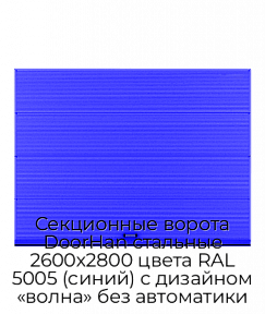 Секционные ворота DoorHan стальные 2600х2800 цвета RAL 5005 (синий) с дизайном «волна» без автоматики