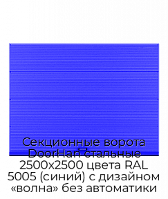 Секционные ворота DoorHan стальные 2500х2500 цвета RAL 5005 (синий) с дизайном «волна» без автоматики