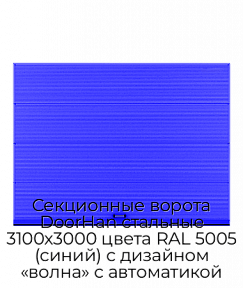 Секционные ворота DoorHan стальные 3100х3000 цвета RAL 5005 (синий) с дизайном «волна» с автоматикой