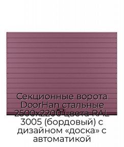 Секционные ворота DoorHan стальные 2500х2200 цвета RAL 3005 (бордовый) с дизайном «доска» с автоматикой