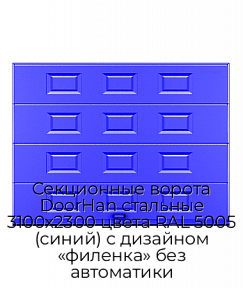 Секционные ворота DoorHan стальные 3100х2300 цвета RAL 5005 (синий) с дизайном «филенка» без автоматики