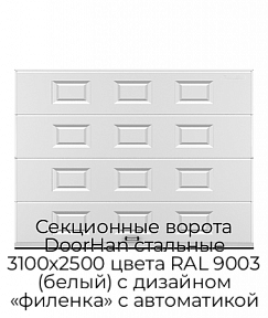 Секционные ворота DoorHan стальные 3100х2500 цвета RAL 9003 (белый) с дизайном «филенка» с автоматикой