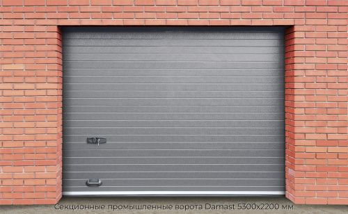 Секционные промышленные ворота Damast 5300х2200 мм 1