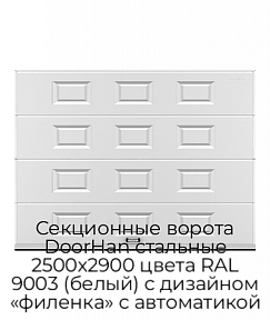 Секционные ворота DoorHan стальные 2500х2900 цвета RAL 9003 (белый) с дизайном «филенка» с автоматикой