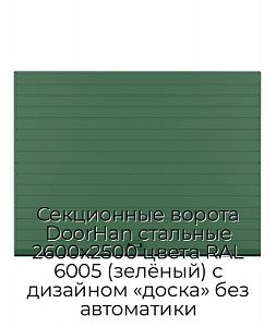 Секционные ворота DoorHan стальные 2600х2500 цвета RAL 6005 (зелёный) с дизайном «доска» без автоматики preview 1
