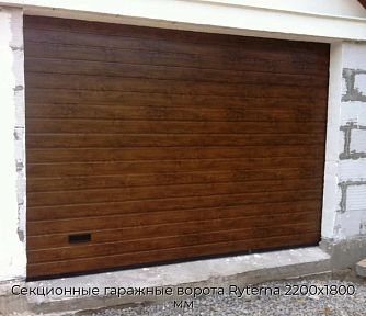 Секционные гаражные ворота Ryterna 2200х1800 мм
