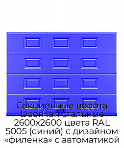 Секционные ворота DoorHan стальные 2600х2600 цвета RAL 5005 (синий) с дизайном «филенка» с автоматикой preview 1