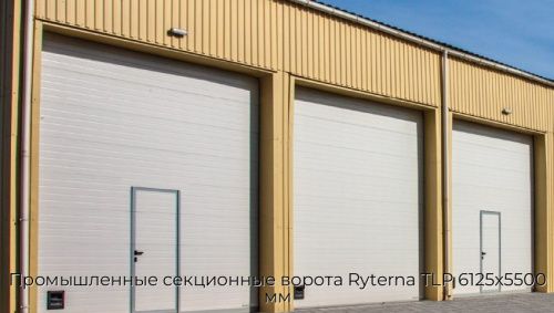 Промышленные секционные ворота Ryterna TLP 6125х5500 мм 1