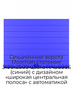 Секционные ворота DoorHan стальные 3100х2500 цвета RAL 5005 (синий) с дизайном «широкая центральная полоса» с автоматикой