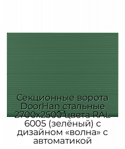 Секционные ворота DoorHan стальные 2700х2500 цвета RAL 6005 (зелёный) с дизайном «волна» с автоматикой preview 1
