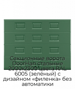 Секционные ворота DoorHan стальные 2000х2300 цвета RAL 6005 (зелёный) с дизайном «филенка» без автоматики