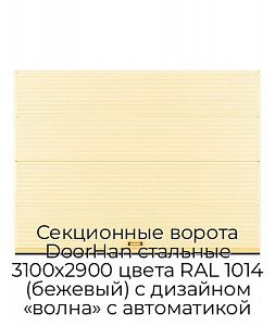 Секционные ворота DoorHan стальные 3100х2900 цвета RAL 1014 (бежевый) с дизайном «волна» с автоматикой preview 1