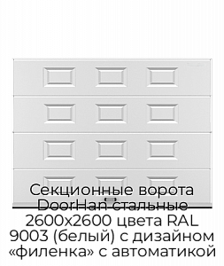 Секционные ворота DoorHan стальные 2600х2600 цвета RAL 9003 (белый) с дизайном «филенка» с автоматикой preview 1