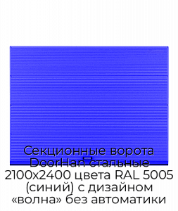 Секционные ворота DoorHan стальные 2100х2400 цвета RAL 5005 (синий) с дизайном «волна» без автоматики preview 1