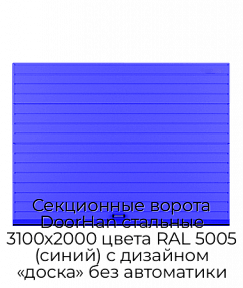 Секционные ворота DoorHan стальные 3100х2000 цвета RAL 5005 (синий) с дизайном «доска» без автоматики