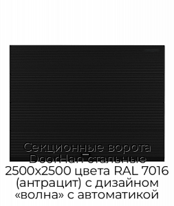 Секционные ворота DoorHan стальные 2500х2500 цвета RAL 7016 (антрацит) с дизайном «волна» с автоматикой preview 1