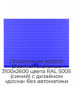 Секционные ворота DoorHan стальные 3100х2600 цвета RAL 5005 (синий) с дизайном «доска» без автоматики