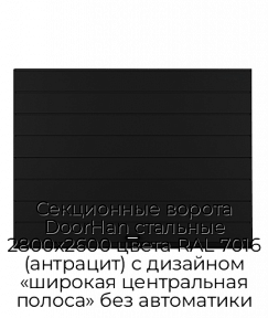 Секционные ворота DoorHan стальные 2800х2600 цвета RAL 7016 (антрацит) с дизайном «широкая центральная полоса» без автоматики