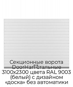Секционные ворота DoorHan стальные 3100х2300 цвета RAL 9003 (белый) с дизайном «доска» без автоматики preview 1