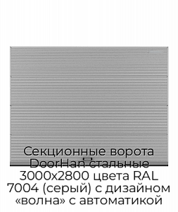 Секционные ворота DoorHan стальные 3000х2800 цвета RAL 7004 (серый) с дизайном «волна» с автоматикой preview 1