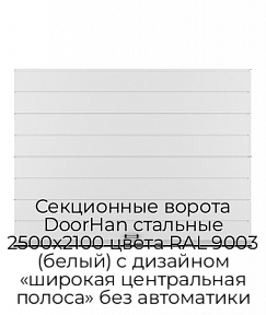 Секционные ворота DoorHan стальные 2500х2100 цвета RAL 9003 (белый) с дизайном «широкая центральная полоса» без автоматики