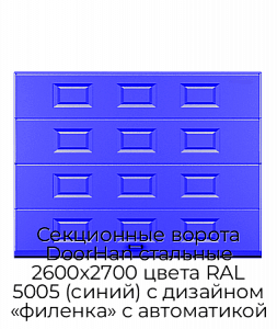 Секционные ворота DoorHan стальные 2600х2700 цвета RAL 5005 (синий) с дизайном «филенка» с автоматикой preview 1