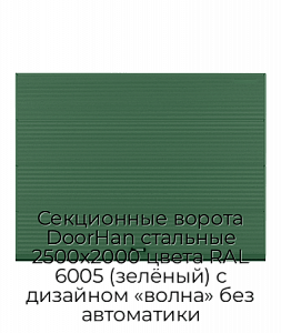 Секционные ворота DoorHan стальные 2500х2000 цвета RAL 6005 (зелёный) с дизайном «волна» без автоматики preview 1