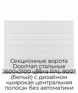 Секционные ворота DoorHan стальные 2600х2100 цвета RAL 9003 (белый) с дизайном «широкая центральная полоса» без автоматики preview 1