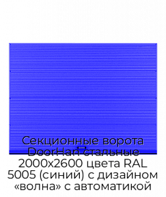 Секционные ворота DoorHan стальные 2000х2600 цвета RAL 5005 (синий) с дизайном «волна» с автоматикой