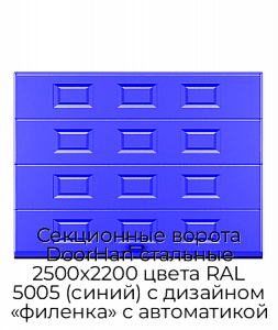 Секционные ворота DoorHan стальные 2500х2200 цвета RAL 5005 (синий) с дизайном «филенка» с автоматикой preview 1