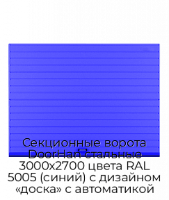 Секционные ворота DoorHan стальные 3000х2700 цвета RAL 5005 (синий) с дизайном «доска» с автоматикой