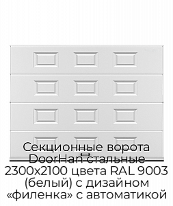 Секционные ворота DoorHan стальные 2300х2100 цвета RAL 9003 (белый) с дизайном «филенка» с автоматикой preview 1