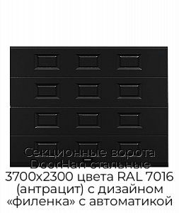 Секционные ворота DoorHan стальные 3700х2300 цвета RAL 7016 (антрацит) с дизайном «филенка» с автоматикой preview 1