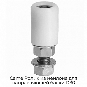 Ролик из нейлона для направляющей балки D30 Came