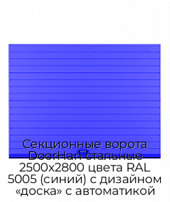 Секционные ворота DoorHan стальные 2500х2800 цвета RAL 5005 (синий) с дизайном «доска» с автоматикой