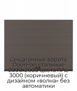 Секционные ворота DoorHan стальные 2000х2600 цвета RAL 3000 (коричневый) с дизайном «волна» без автоматики preview 1