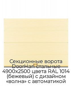 Секционные ворота DoorHan стальные 4900х2500 цвета RAL 1014 (бежевый) с дизайном «волна» с автоматикой preview 1