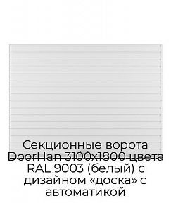 Секционные ворота DoorHan 3100х1800 цвета RAL 9003 (белый) с дизайном «доска» с автоматикой
