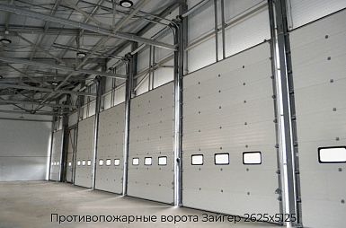 Противопожарные ворота Зайгер 2625х5125