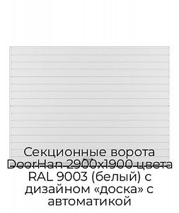 Секционные ворота DoorHan 2900х1900 цвета RAL 9003 (белый) с дизайном «доска» с автоматикой preview 1