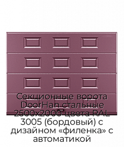 Секционные ворота DoorHan стальные 2500х2000 цвета RAL 3005 (бордовый) с дизайном «филенка» с автоматикой