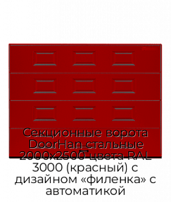 Секционные ворота DoorHan стальные 2000х2500 цвета RAL 3000 (красный) с дизайном «филенка» с автоматикой