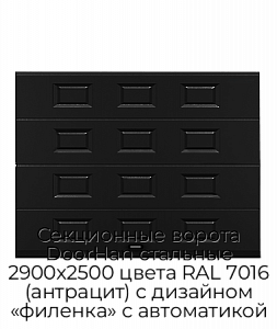 Секционные ворота DoorHan стальные 2900х2500 цвета RAL 7016 (антрацит) с дизайном «филенка» с автоматикой preview 1
