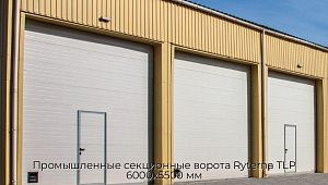Промышленные секционные ворота Ryterna TLP 6000х5500 мм preview 1